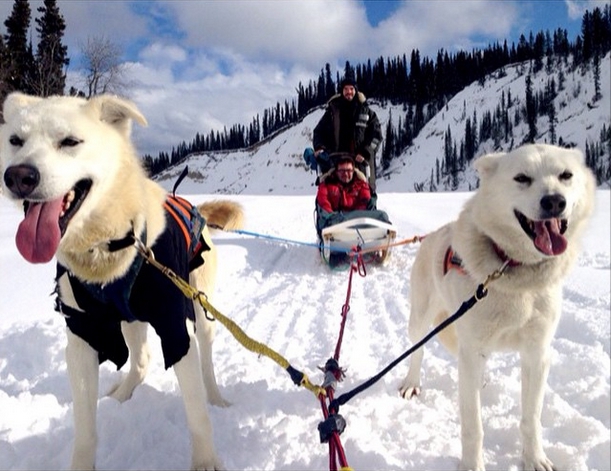 Dogsledding Near Whitehorse (in Canada's Yukon Territory)