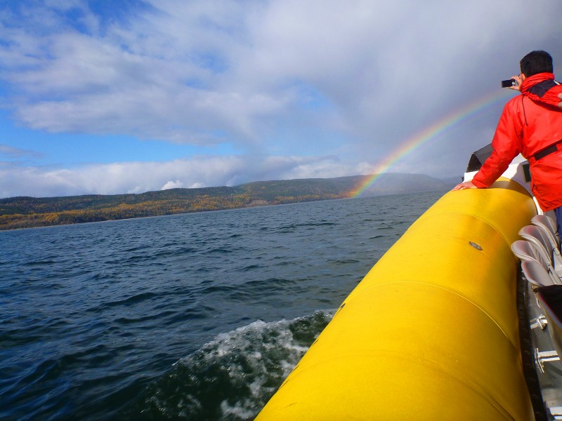 Rainbow and Whale Watching Near Tadoussac, Quebec