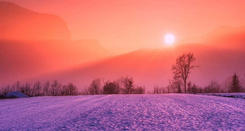 Snowy field in winter at sunset