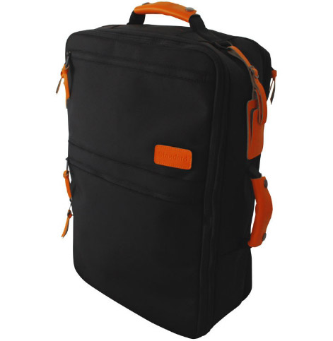 Standard Luggage Travel Backpack